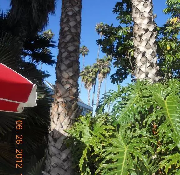 Motelli Tradewinds Airport