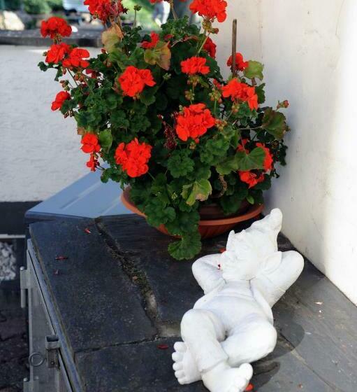 פנסיון Gästehaus Petra