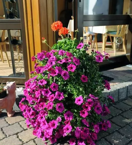 Majatalo Gästehaus Petra