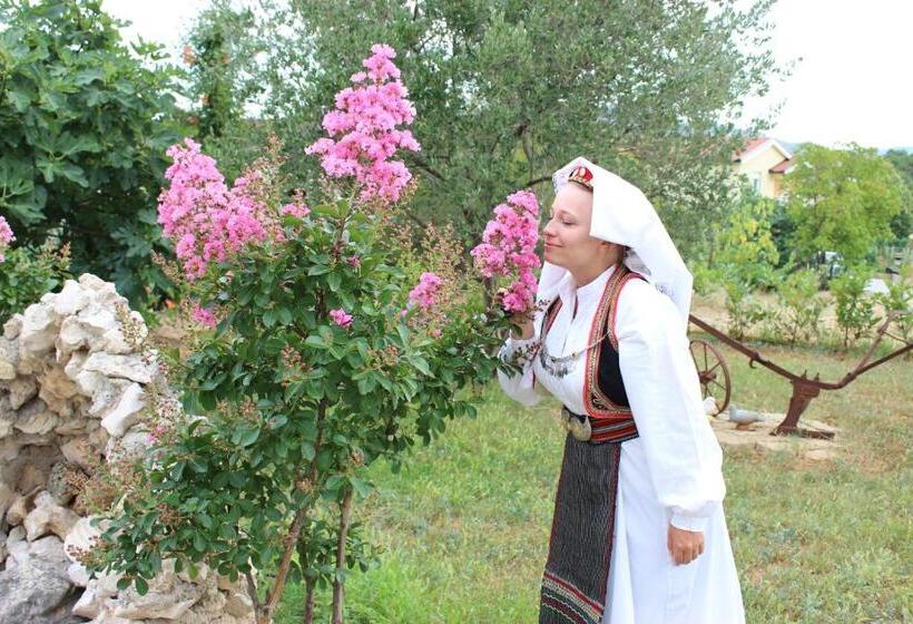 پانسیون Guesthouse Casa Bevanda