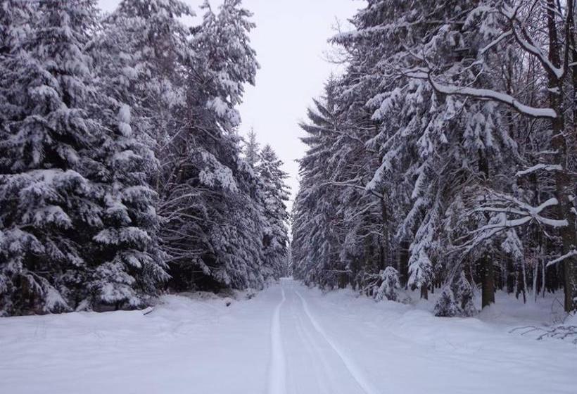 Пансион Penzion U Kostela Mláka