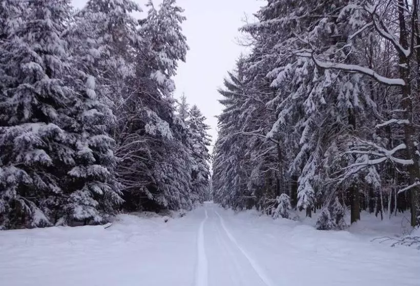 Majatalo Penzion U Kostela Mláka