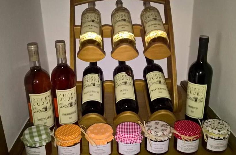 Пансион Penzion U Kostela Mláka