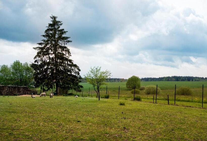 Пансион Penzion U Kostela Mláka