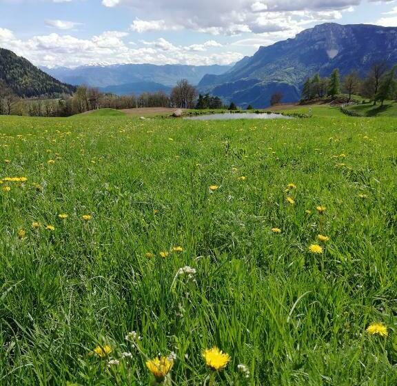 ホテル Garni Reider