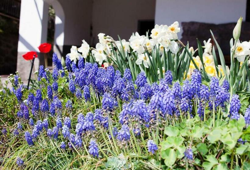 ホテル Garni Reider