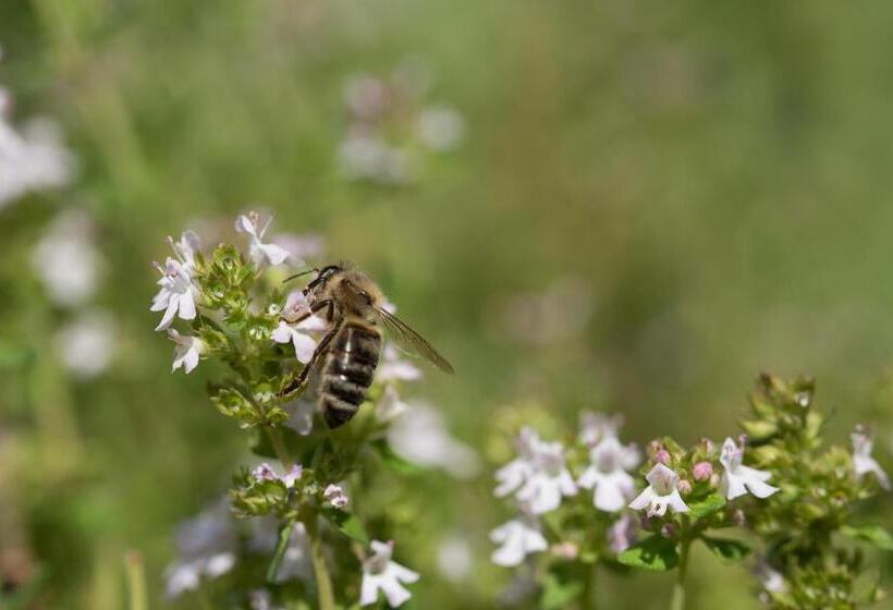 ペンション Theresienhof