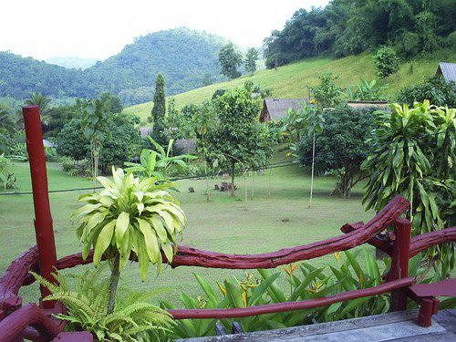 Bamboo Country Lodge