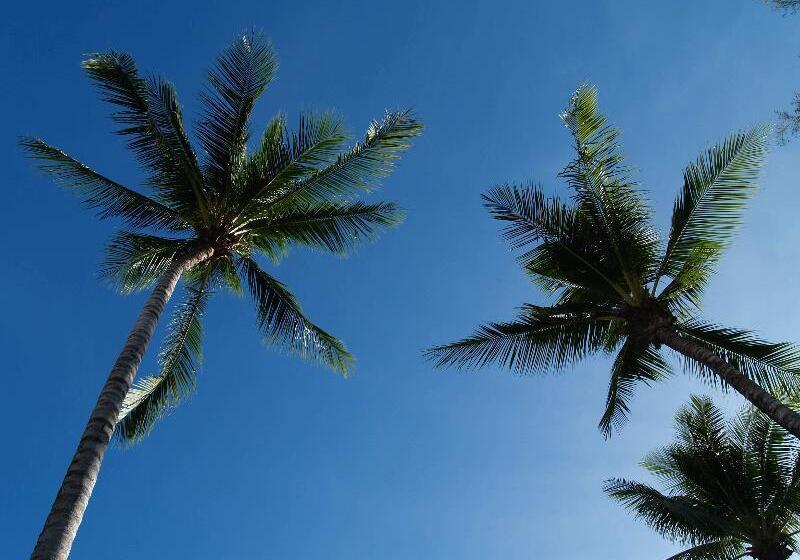 Bangtao Village Resort   Sha