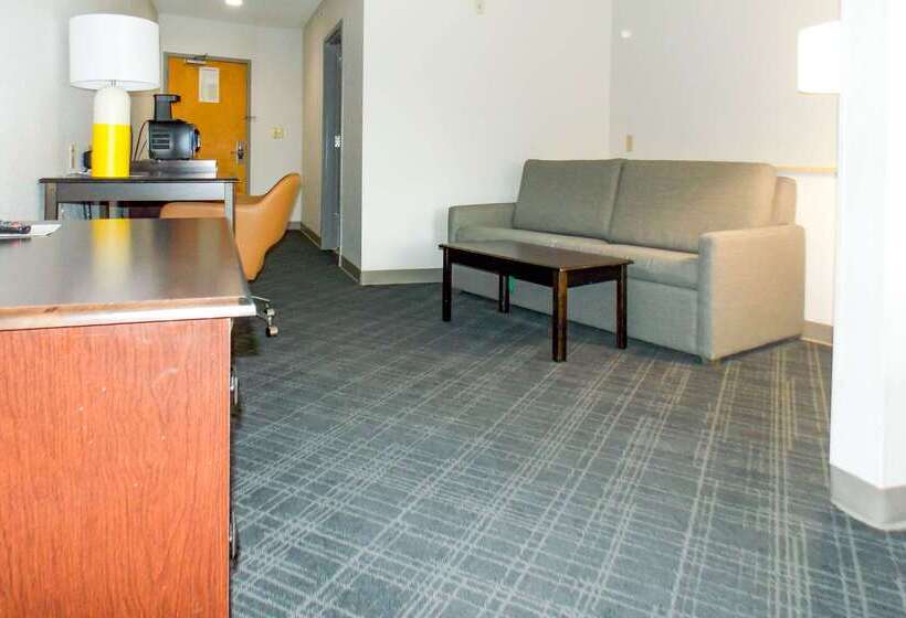 Отель Comfort Suites Salemroanoke I81