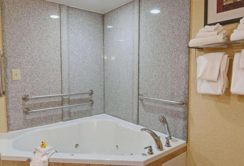 Отель Comfort Suites Salemroanoke I81