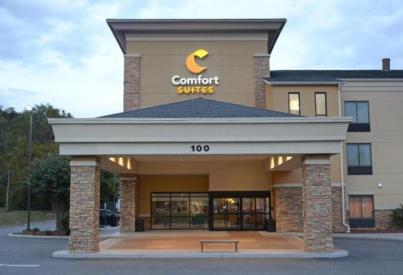 Отель Comfort Suites Salemroanoke I81
