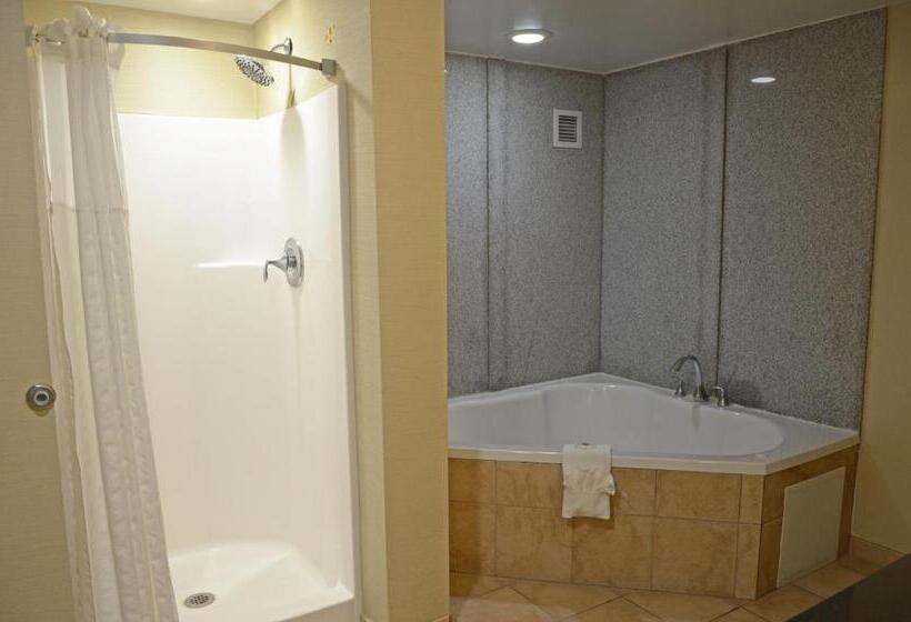 Отель Comfort Suites Salemroanoke I81