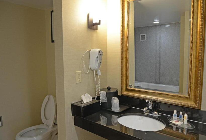 Отель Comfort Suites Salemroanoke I81
