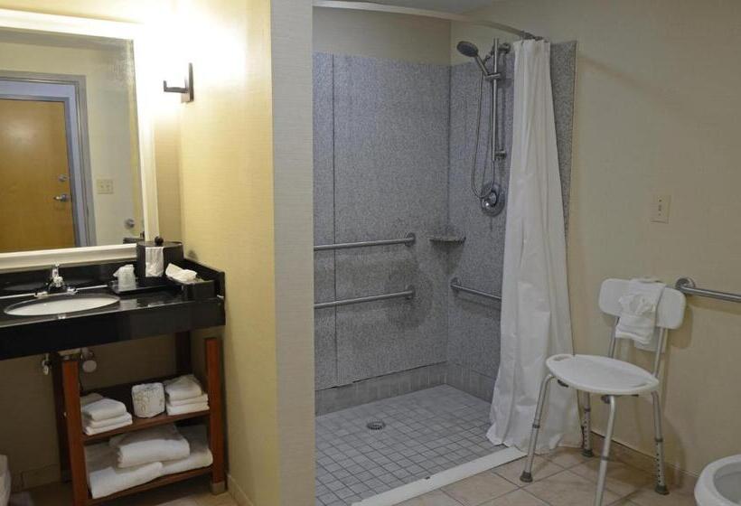 Отель Comfort Suites Salemroanoke I81
