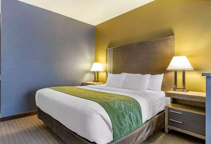 호텔 Comfort Suites Southgate Detroit