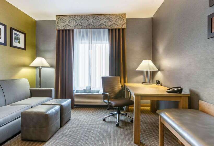 בית מלון כפרי Comfort Suites Southgate Detroit
