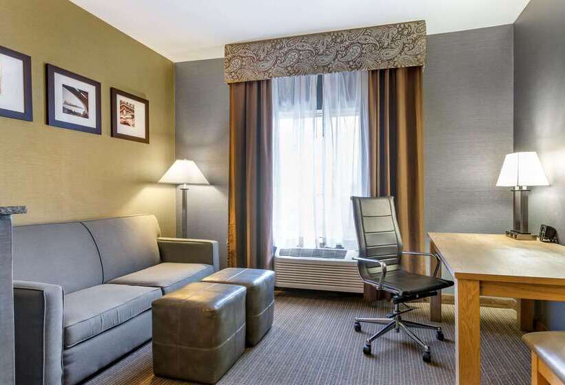 בית מלון כפרי Comfort Suites Southgate Detroit