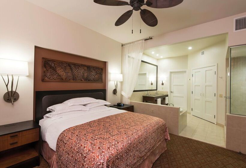 酒店 Hilton Grand Vacations Club Kohala Suites Waikoloa