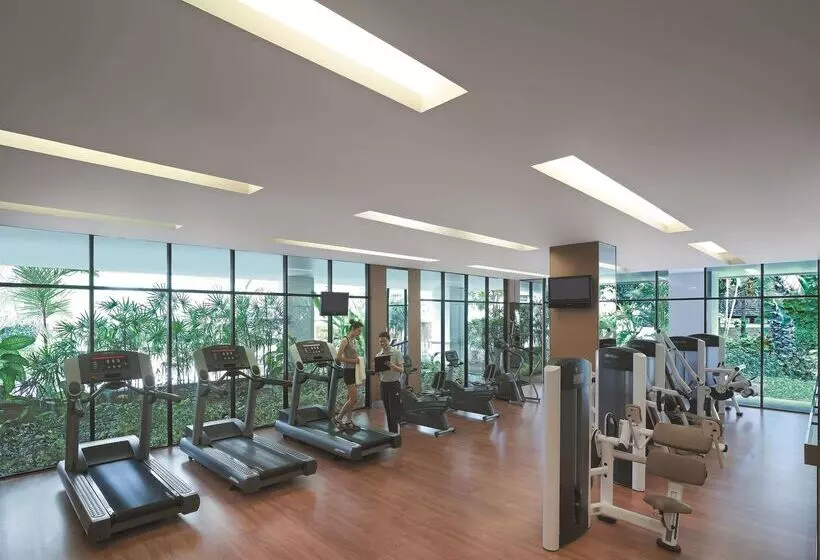 Отель Shangrila Chiang Mai