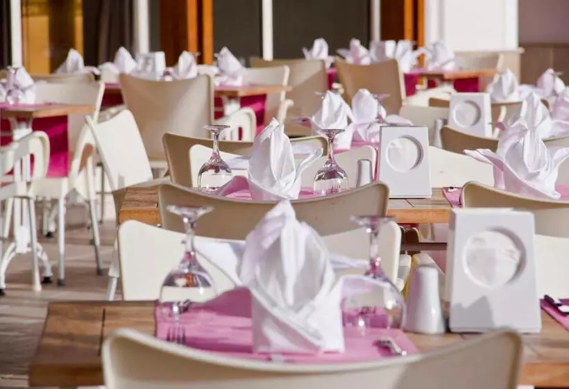 Side Alegria Hotel & Spa   Adults Only   All Inclusive