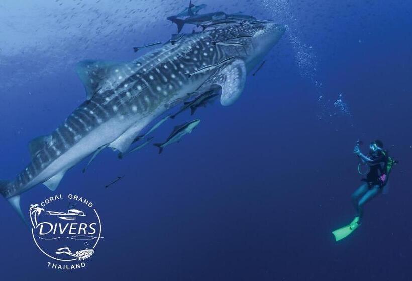 Koh Tao Montra Resort