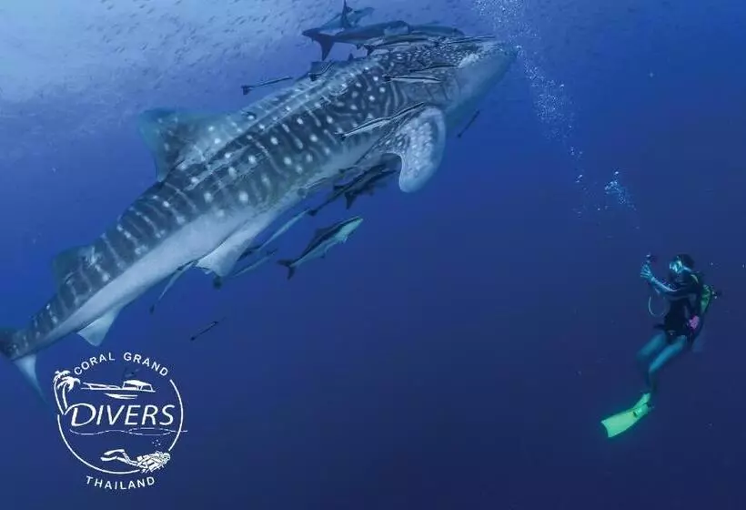 Koh Tao Montra Resort