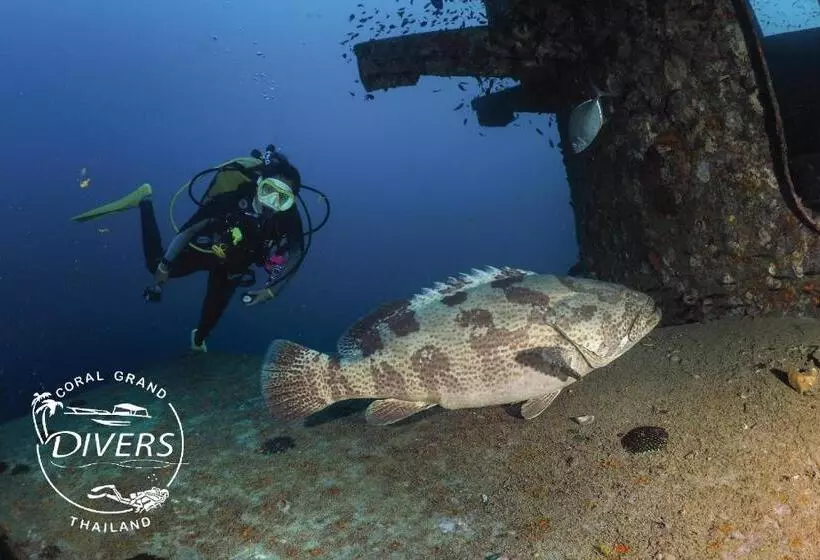 Koh Tao Montra Resort