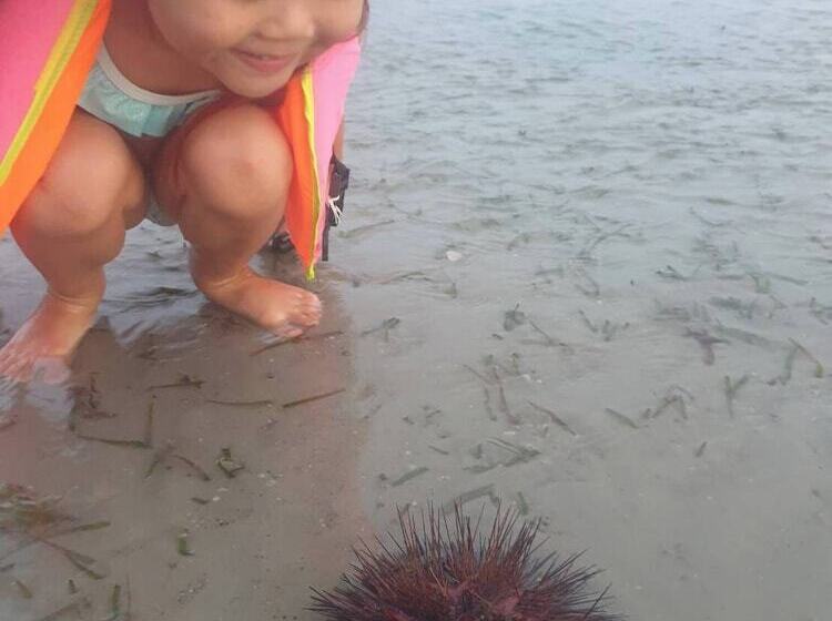 Pan Beachfront Resort Krabi