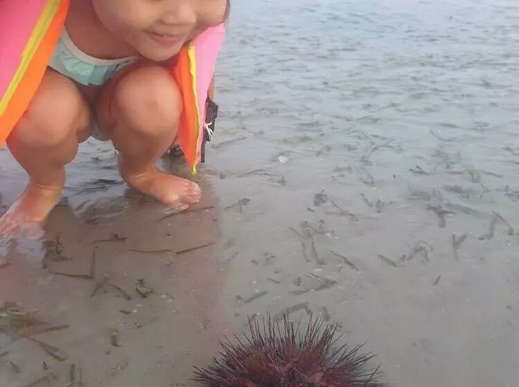 Pan Beachfront Resort Krabi