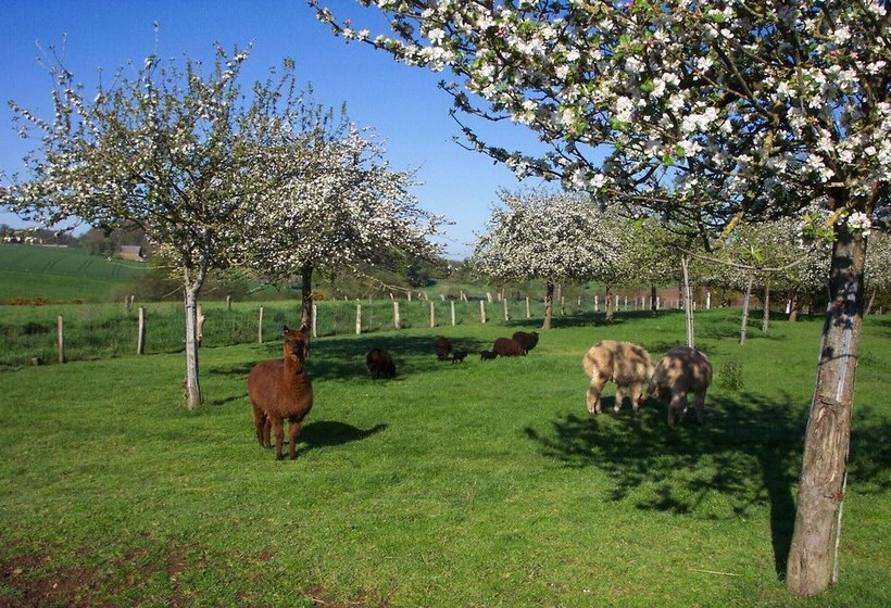 Beautiful 3bed Cottage In Passaisvillages