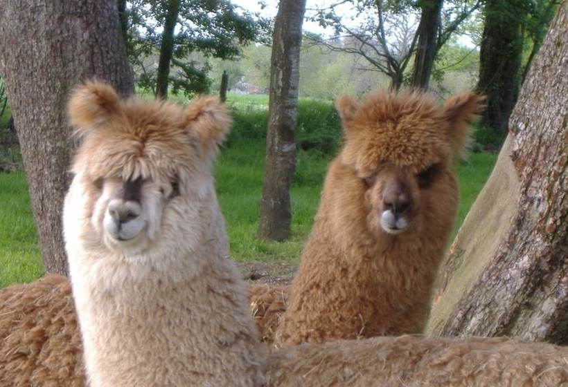 Beautiful 3bed Cottage In Passaisvillages