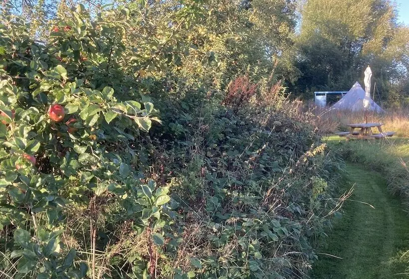 Glamping At The Homestead   Ensuite Bell Tent   Campsite