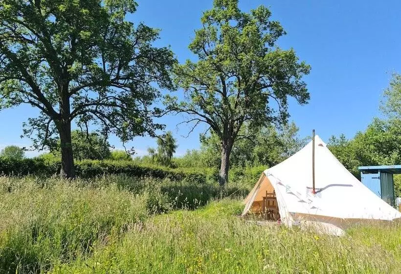 Glamping At The Homestead   Ensuite Bell Tent   Campsite