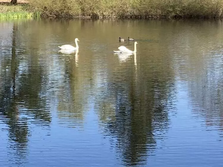 Glamping At The Homestead   Ensuite Bell Tent   Campsite