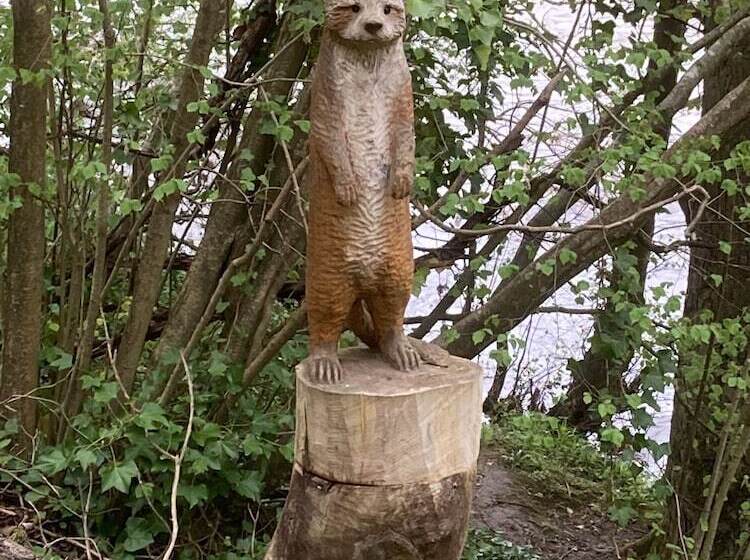 Glamping At The Homestead   Ensuite Bell Tent   Campsite