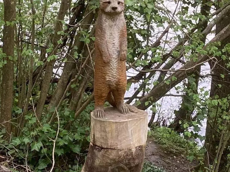 Glamping At The Homestead   Ensuite Bell Tent   Campsite