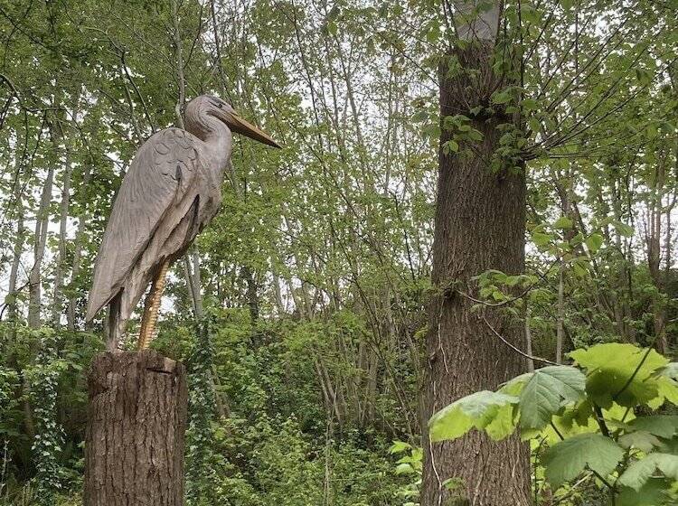 Glamping At The Homestead   Ensuite Bell Tent   Campsite