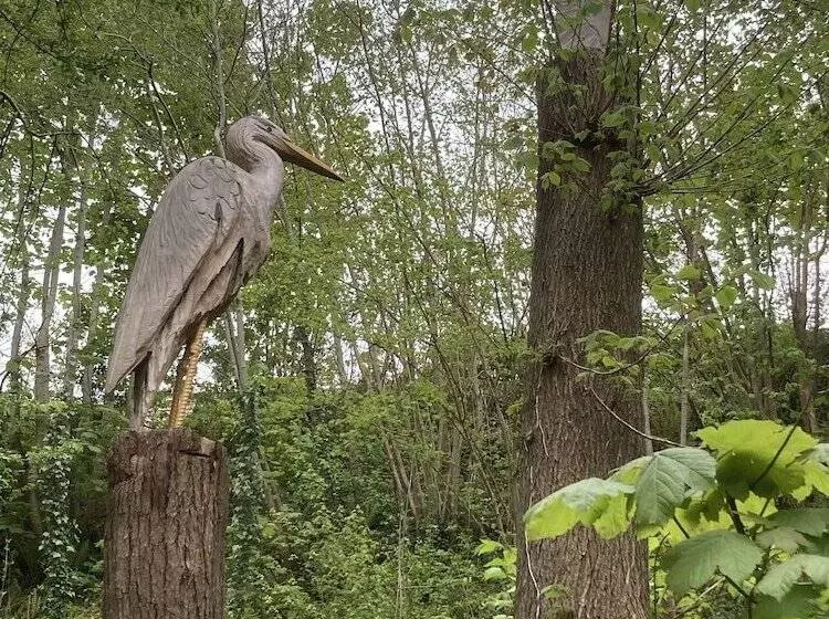 Glamping At The Homestead   Ensuite Bell Tent   Campsite