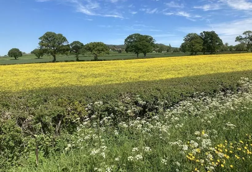 Glamping At The Homestead   Ensuite Bell Tent   Campsite