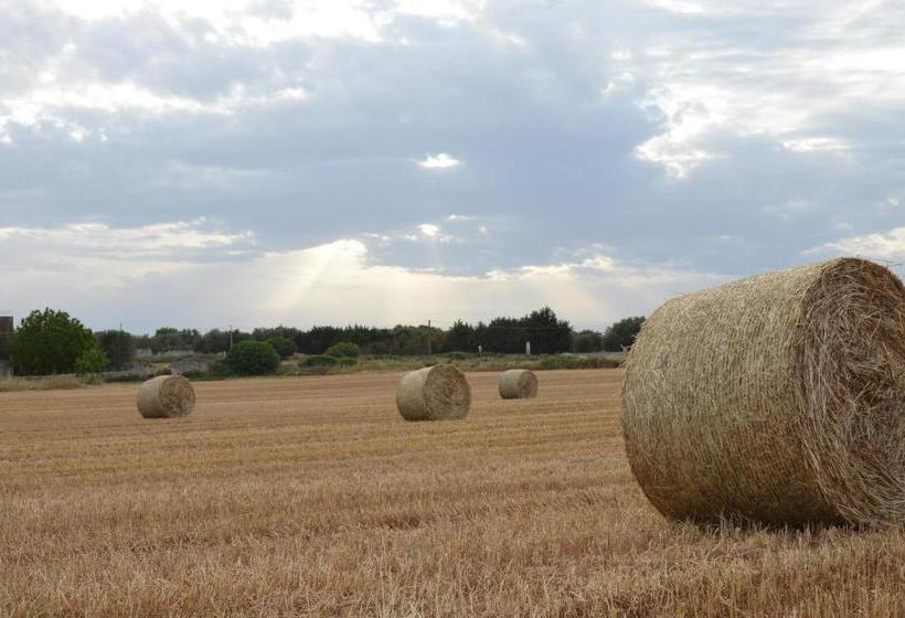 فندق Masseria Vignenove