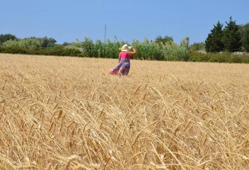ホテル Masseria Vignenove