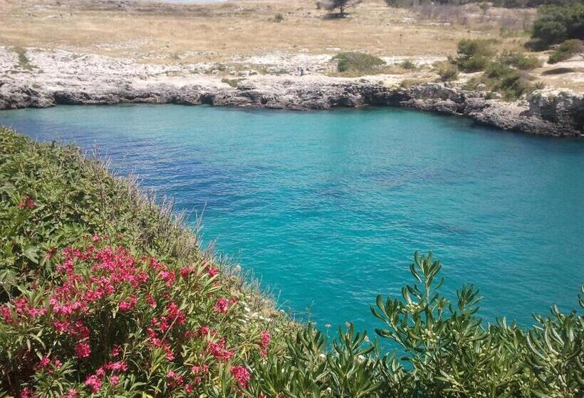 فندق Masseria Vignenove