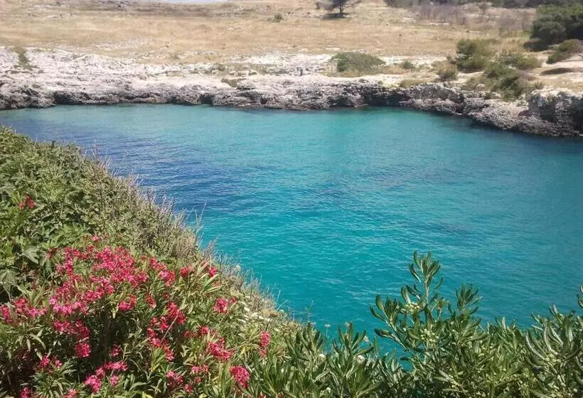 ホテル Masseria Vignenove