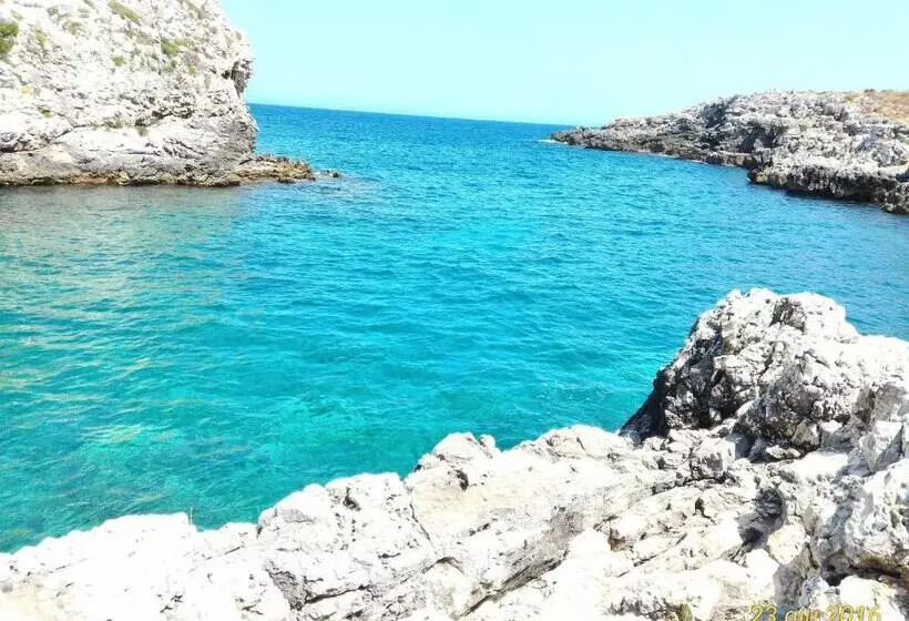 ホテル Masseria Vignenove