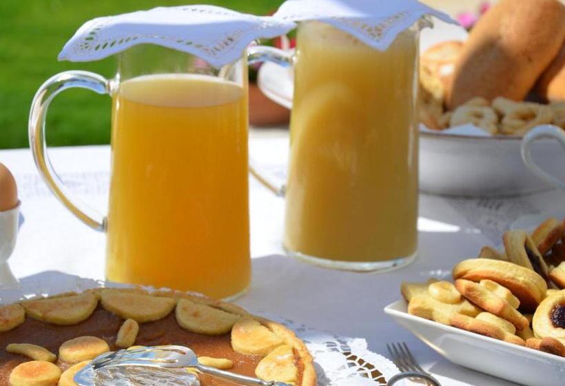 Szálloda Masseria Vignenove