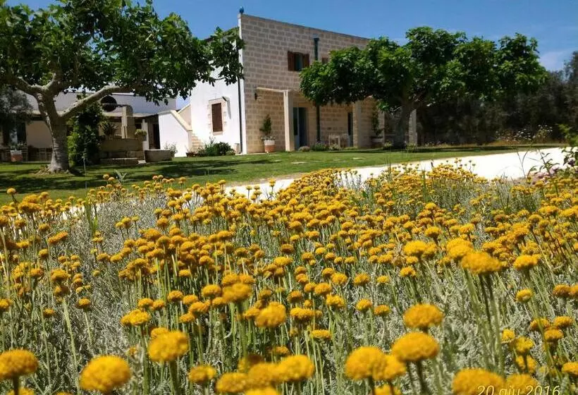 ホテル Masseria Vignenove