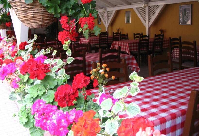 Pensjonat Halász Airport Panzio