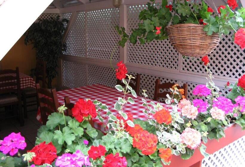 Pensjonat Halász Airport Panzio