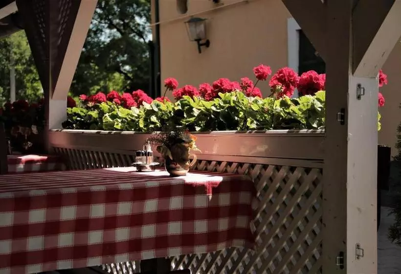 Majatalo Halász Airport Panzio